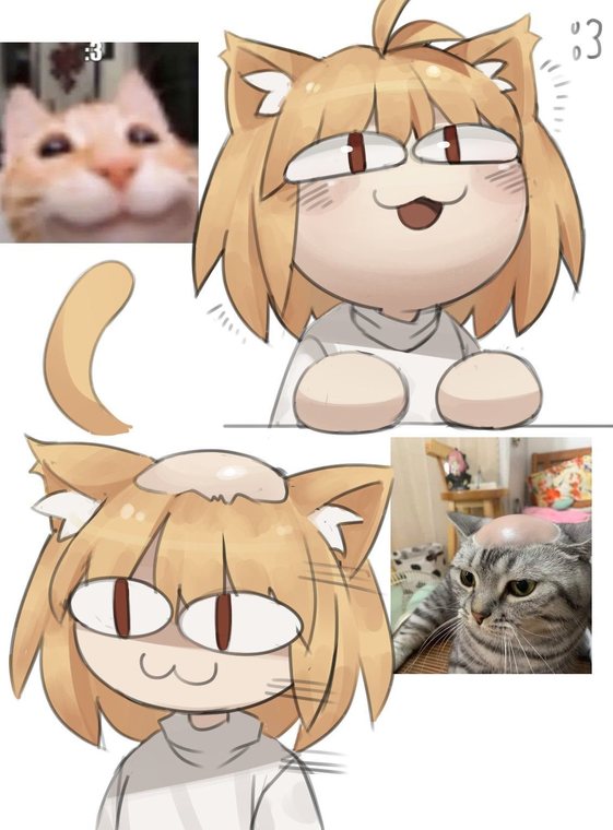 Necoarc Certified meme